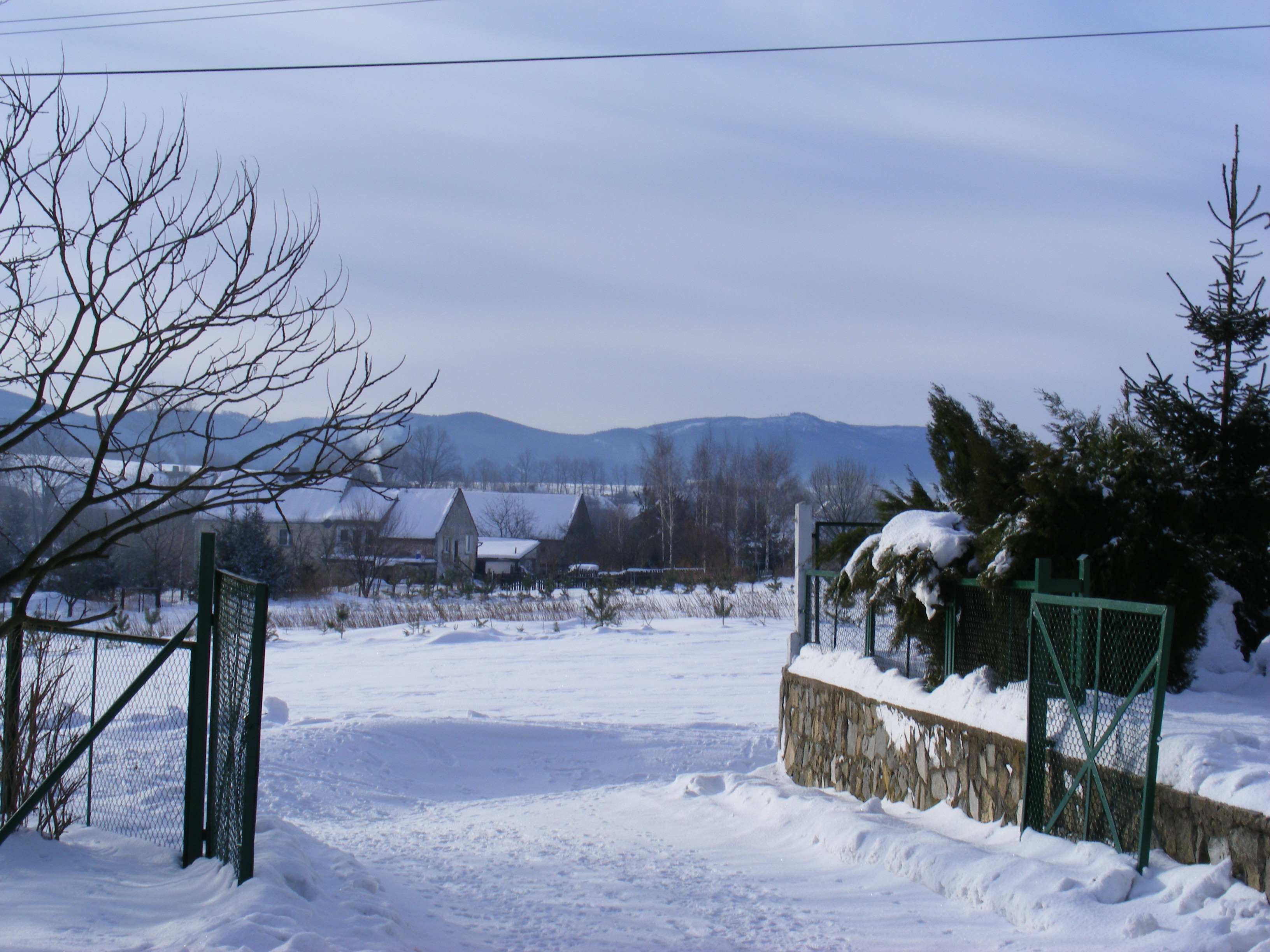 dscf1385.jpg